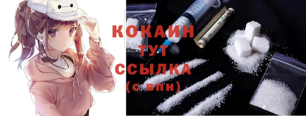 прущая мука Богородицк